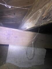 Rotted Joist