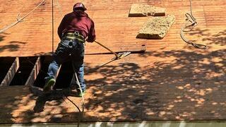 Bad Plywood Is Removed