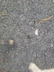 Think They Found Something Good