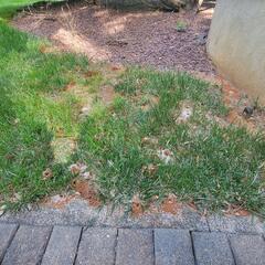 First Comes the Dusting