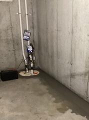 TripleSafe Sump Pump