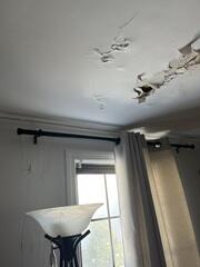 Water had already made its way inside, leaving visible holes in the ceiling. The damage was spreading quickly, making this roof a top priority. It was clear that a full repair couldn't wait.