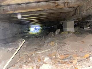 The inspection by the LRE Design Specialist revealed that the block piers in the crawl space had settled into the soil, leaving the floor joists without stable support. As a result, the joists sagged, causing the floors inside the home to bow.