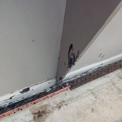 A Whole Lot of Damage