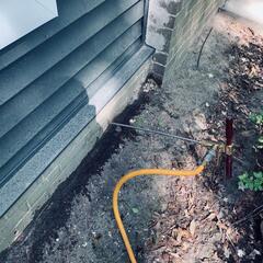 Termiticide Application for Termites