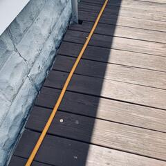 Plug Up the Drill Holes