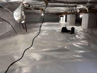 Encapsulated Crawl Space