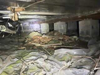 Wet Crawl Space