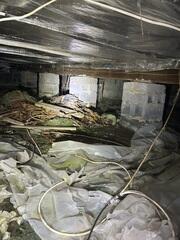 Crawl Space