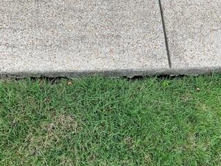 Voids Beneath the Sidewalk