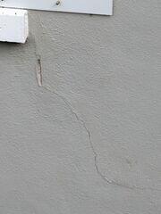 The homeowner became alarmed after noticing cracks within their home's exterior walls.