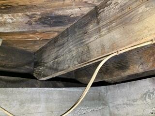 Wet Crawl Space Joists