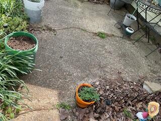 Concrete Patio Cracking