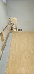 TripleSafe Sump Pump