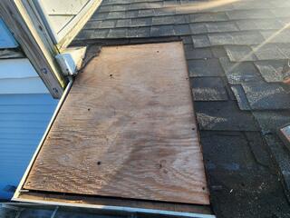 New Piece of Plywood