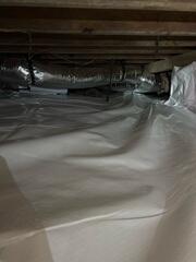 CleanSpace™ Encapsulation