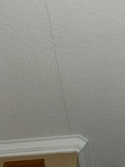The homeowner noticed cracks in their home's ceiling, prompting them to seek a professional inspection of their foundation.