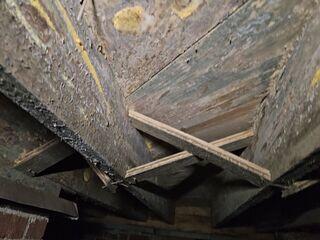Moldy and Rotted Crawl Space Wood