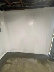 CleanSpace Protecting the Walls.