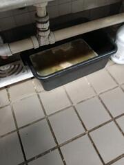 More Sanitation Issues