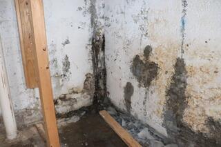 Couldn't Keep Water Out of the Basement and Needed Help- Portland, OR