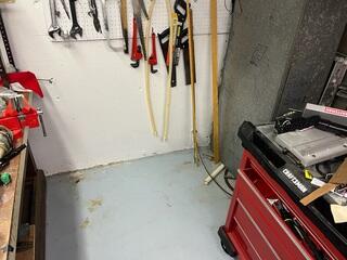 Leaky and Discolored Basement Walls - Bellingham, WA