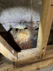 Restoring Structural Stability In Wilmington, DE Basement