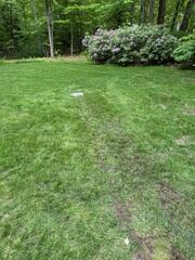 Bubbler Pot Enhanced Soil Drainage