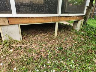 Groundhogs Can Enter