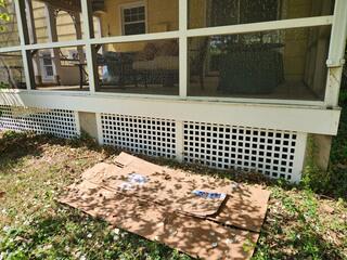 New Lattice
