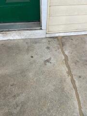 NexusPro Joint Sealant