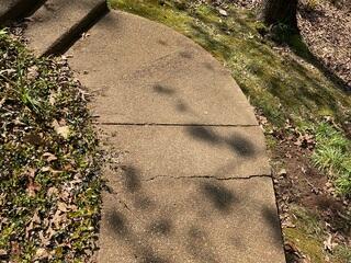 Cracked Sidewalk