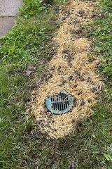 Drainage Line