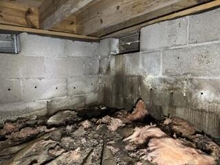 A Nasty Crawl Space