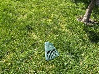 Drainage Line
