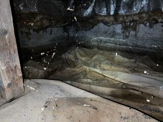 Cleaning Up the Crawl Space - Clackamas, OR