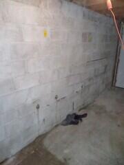 Foundation support in Hamilton, On