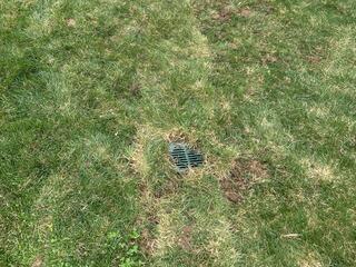 Drainage Line