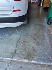 Sealing Garage Crack in Smithton, IL