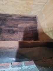 Wet Crawl Space Wood