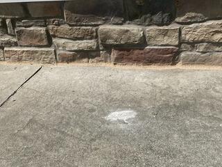 Restored Concrete