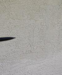 What may start as small wall cracks often signals underlying foundation instability, and without repair, they're likely to worsen over time.