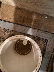 Waterproofing a basement in Saint-Flavien, QC