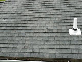 Before: Shingle Pattern Baldness