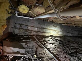 Dusty, Mildewy Crawl Space