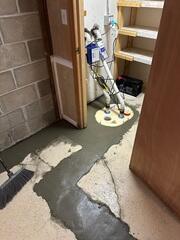 TripleSafe™ Sump Pump