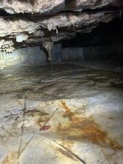 Nasty Crawl Space