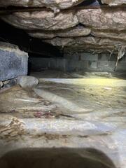 Crawl Space