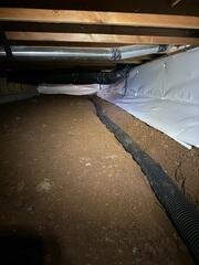 Mold in Crawl Space Affecting the Home- Salem, OR