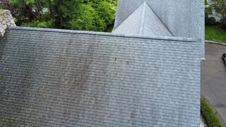 Before: Algae and Moss